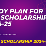 study-plan-for-csc-scholarship
